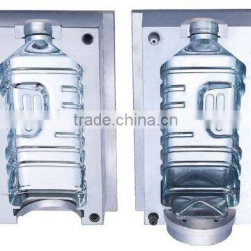 20 Years Experiance Customized Plastic Mold 500ml Pet Plastic Bottle photo-5