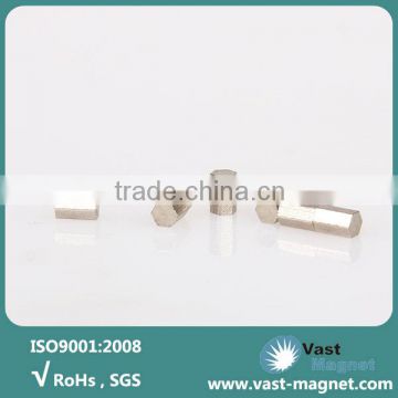 Special shape mini neodymium magnet