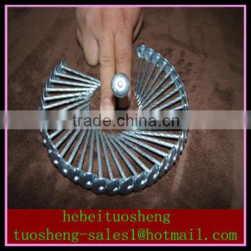 Hot dipped galvanized roofing nails umbrella head