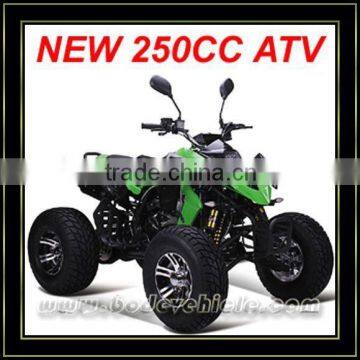 EEC 250cc ATV Quad (MC-381)