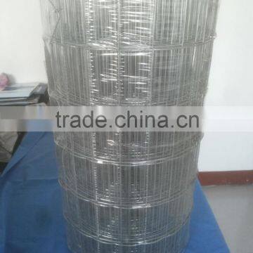 galvanized white zinc Welded Wire Mesh