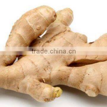 Dry whole ginger