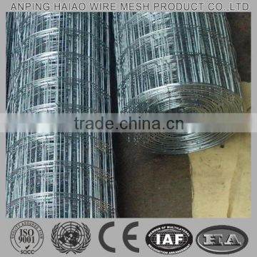 Galvanized 4x4 welded wire mesh fence ( high quality )