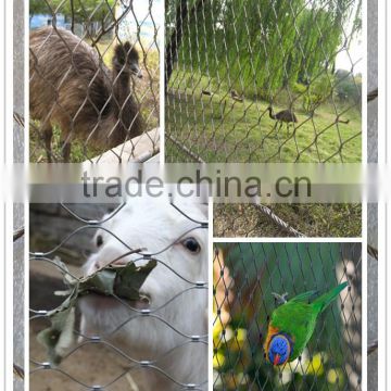 stainless steel zoo animal cages widely used in the big bird encloure