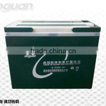 12V45Ah (6-DZM-45) Electric Bicycle GEL Battery