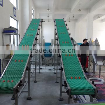 plastic belt lifting conveyor by customized