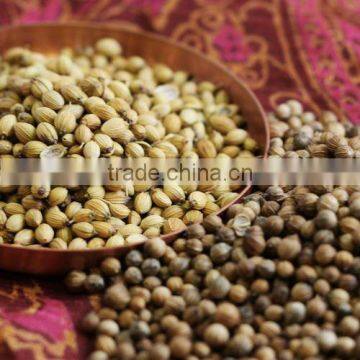 Whole coriander seeds