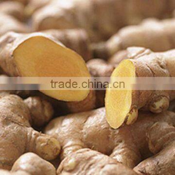 China Dry Ginger Export to Many Countries
