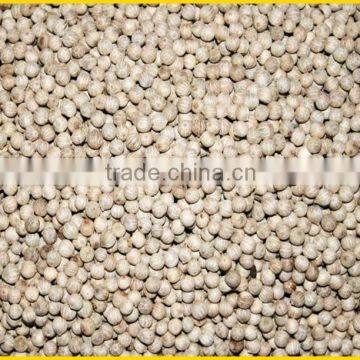 BEST PRICE OF WHITE PEPPER 630G/L ( Whatsaaps/Viber: 0084965152844)