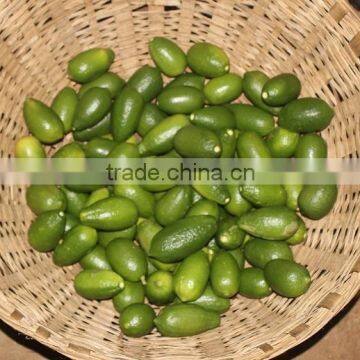 Fresh Citrus Fruits, Valencia Oranges & Lemons high quality