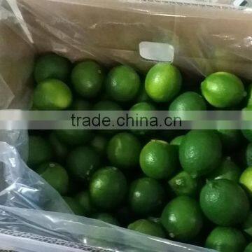Viet Nam Seedless lime