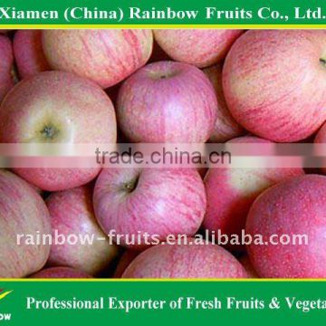 Shanxi Qinguan Apple