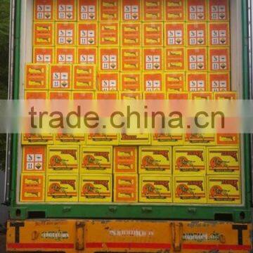 Apt Exim Safety Wooden Matches With 40 Sticks Match Box photo-2