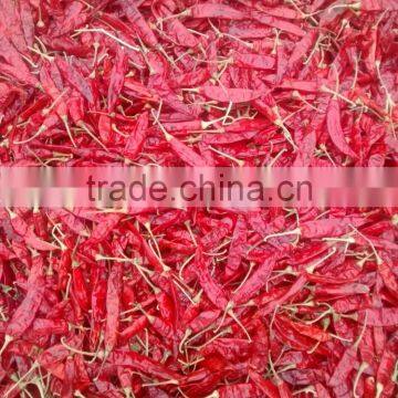 CHILI PEPPER photo-4