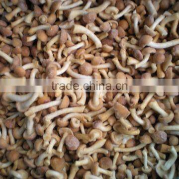 Frozen Whole Raspberry for Sale From Sunnywellfoods photo-3