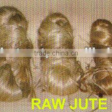 Sale Raw Jute : The Golden Fibre
