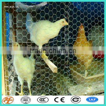 60*80 mesh Hexagonal chicken wire netting monkey fence