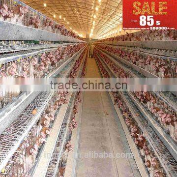 3 tier 120birds egg chicken house design for layers