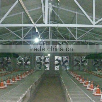 Automatic Chicken Machine for Chicken Farming Equipment/pan Feeding System photo-4