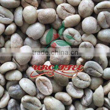 Vietnam Robusta Green Coffee Bean Grade1 Screen18 Wet Polished