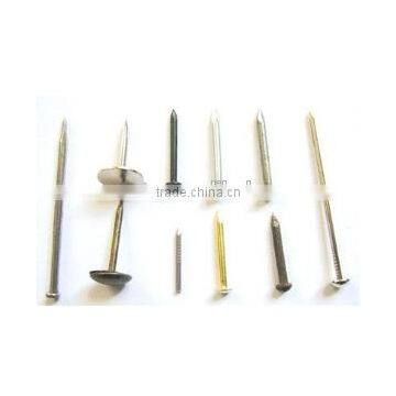 High Quality Automatic Nail Making Machine photo-3