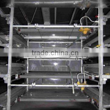 poultry farming equipment chicken manure removal system for Tanzania