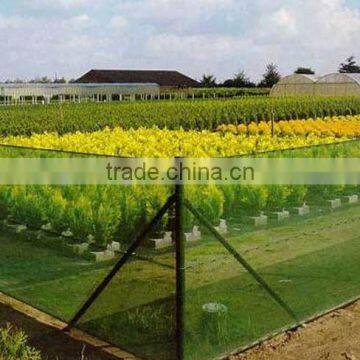 Windbreak Mesh net protects gardens, crops from destructive winds