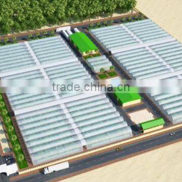 Commercial Greenhouses