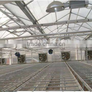 Flower Greenhouse Use Motor Power Ceiling Exhaust Cooling Fan photo-4