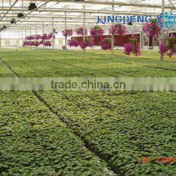 Venlo Roof Agricultural Polycarbonate Sheet Greenhouse photo-3