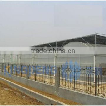 Plastic Film Greenhouse