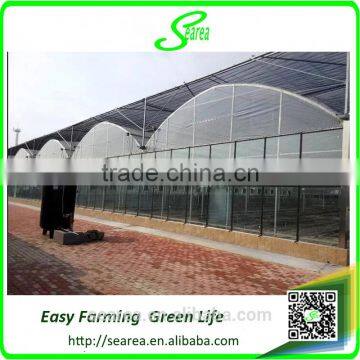 Poly Tunnel Green House photo-4