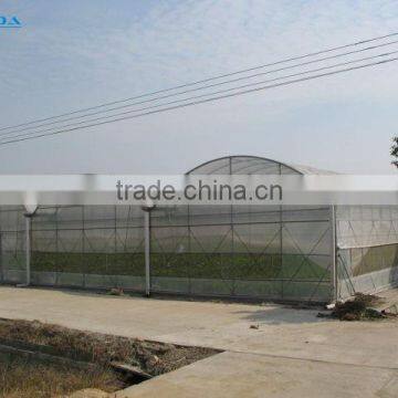 Multi-span pe Film Green House Tomato Green House Pepper Greenhouse photo-3