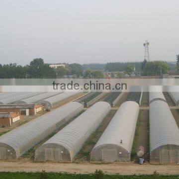 2016 New Easy Assembled Tunnel Greenhouse photo-5