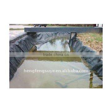 Hot sale HDPE Geomembrane.