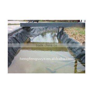 Hot Sale HDPE Geomembrane HDPE Sheet . photo-3