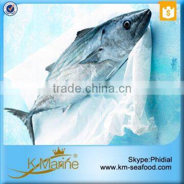 2016 Best Sale Frozen Sarda Sell Fresh Tuna Fish photo-2