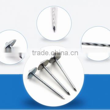 high quality roofing nail from china manufacturer