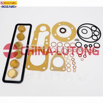 Fuel injection parts 1 417 010 010 Repair Kit 800033 For Pump