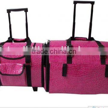 Pink Shining pet carrier