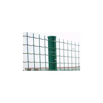 Euro Welded Fence / Holland Wire Mesh photo-2