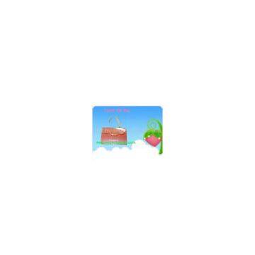 Gift bag,cookie&candy bag(CD-123)
