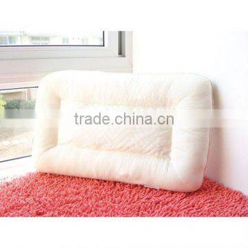 heathly pure buckwheat pillow