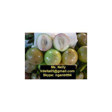 Vietnamese star apple