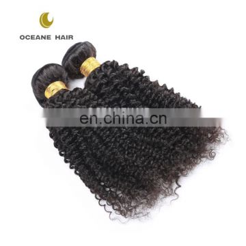 unprocessed brazilian human hair afro kinky curly weaving hair for braiding