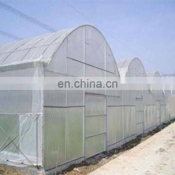 0.9m*25 Yards Blue Color Greenhouse Anti Insect Net to Thailand