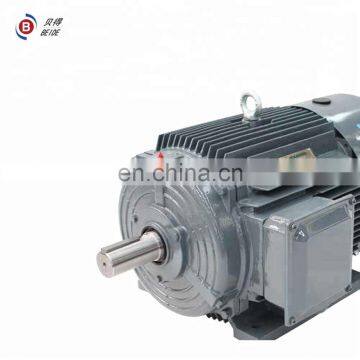 BEIDE1TL0003 low-voltage three-phase Motor