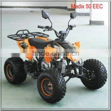 50cc beach buggy from China with EEC certification