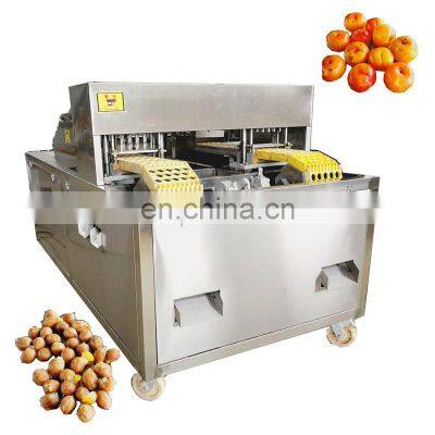 Runxiang Hot Selling Cheap Oli Olive Longan Lychee Apple Date Pitter photo-4
