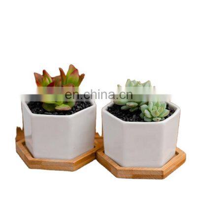 Factory Wholesale Guangdong Potted Plants Ceramic Indoor Home Flower Pots & Planters Hexagon Bonsai Pots